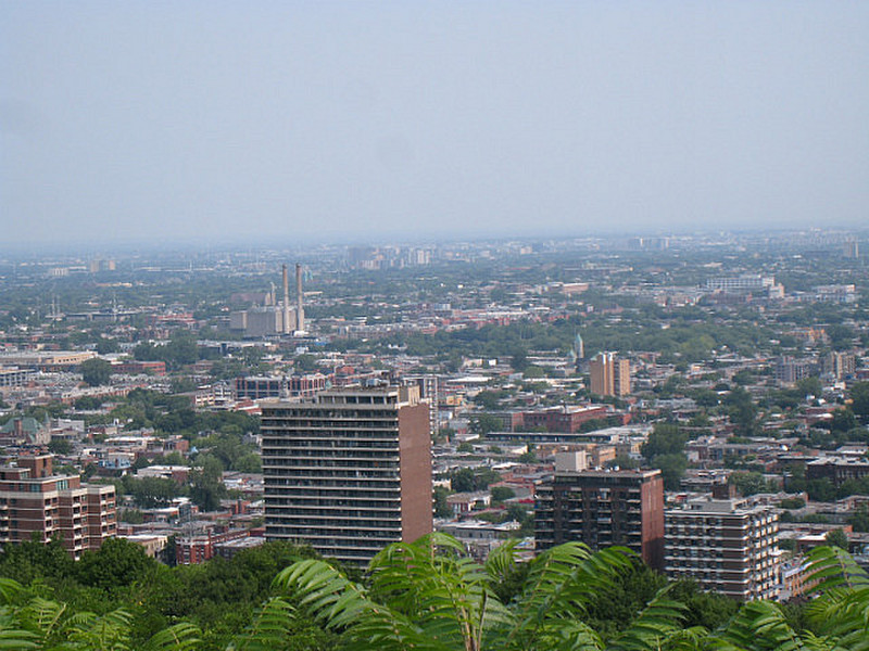 From Mount Royal