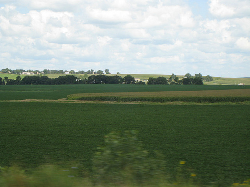Iowa crops
