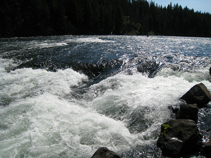Rushing rapids on Yellowstone River