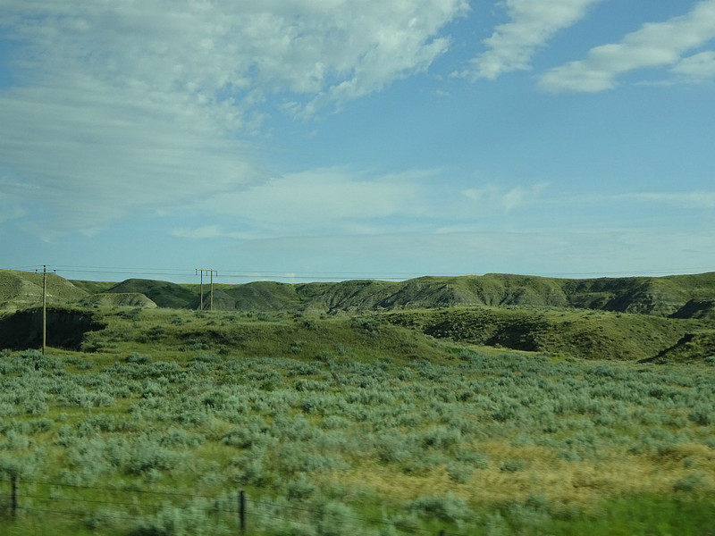 Montana prairies