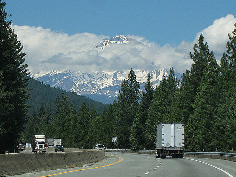 This is Shasta last time we saw it