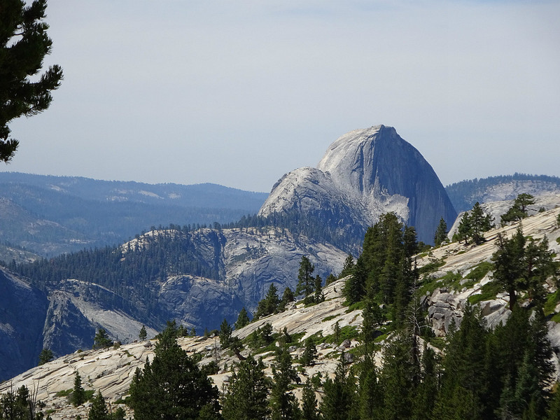Half Dome, the icon of this park