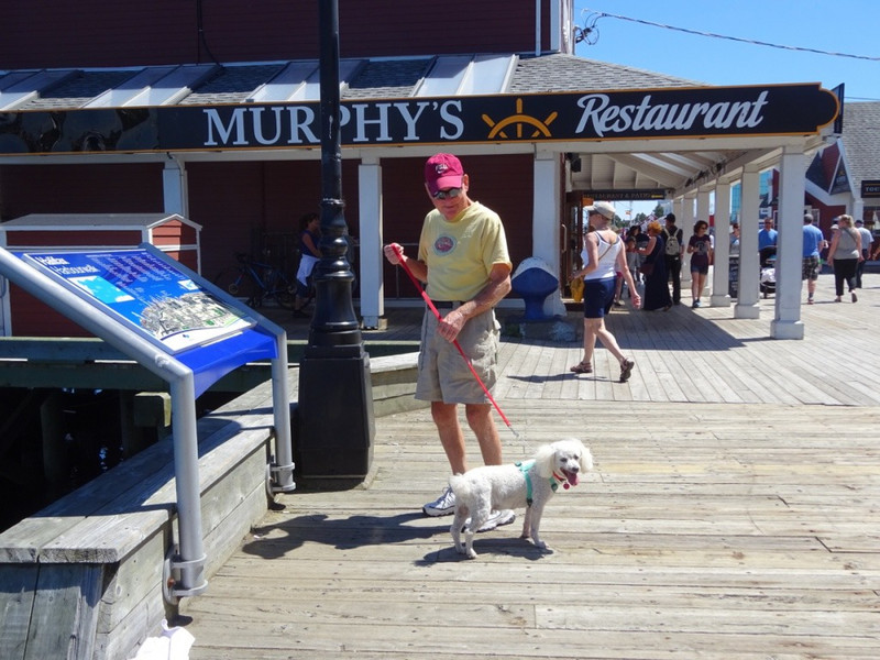 Hey, Dad, should we try Murphy&#39;s for a beer?