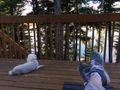 Beamer and me relaxing by the lake