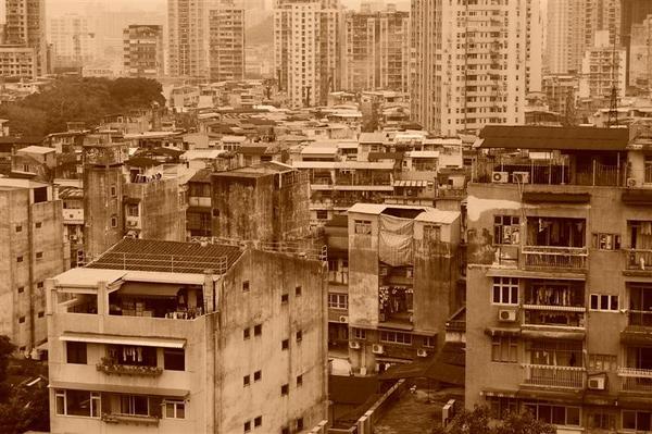 Macau urban jungle
