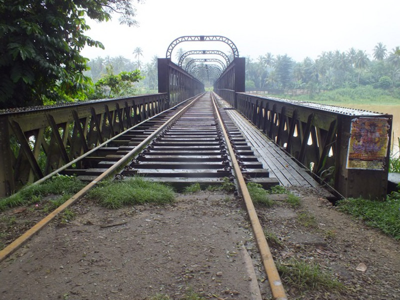 Typical jungle Railway scene - Kandy