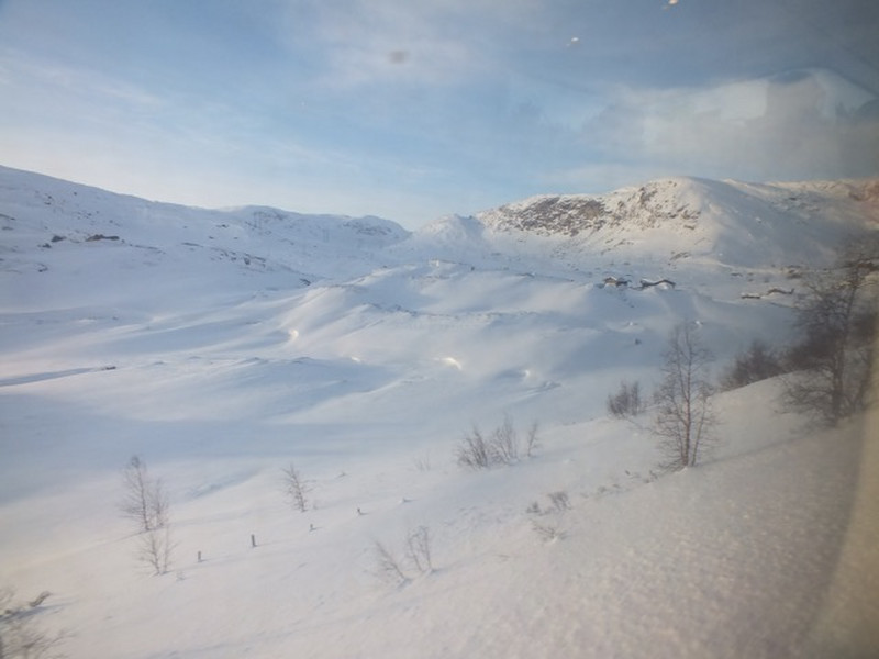 A snowy scene from our train....