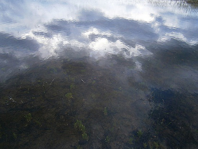 Clouds in water