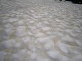 Marshmallow Snow