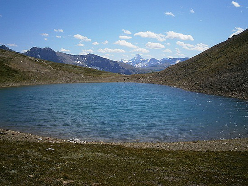 Harvey Lake