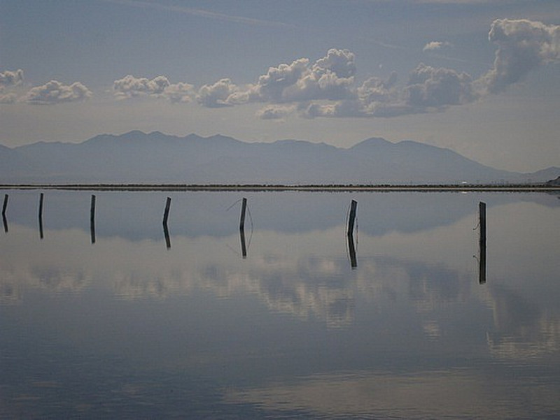 Utah reflection