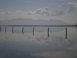 Utah reflection