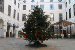 Christmas in a Viennese court yard!