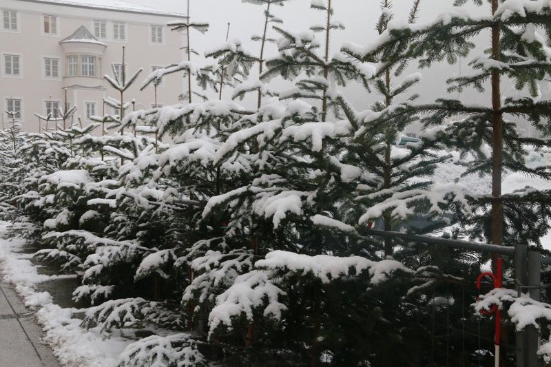 Snow time in Passau
