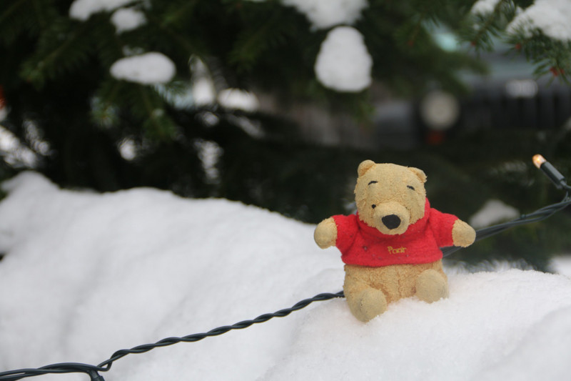 Pooh's winter wonderland