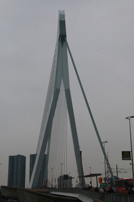 The Erasmus bridge - Rotterdam