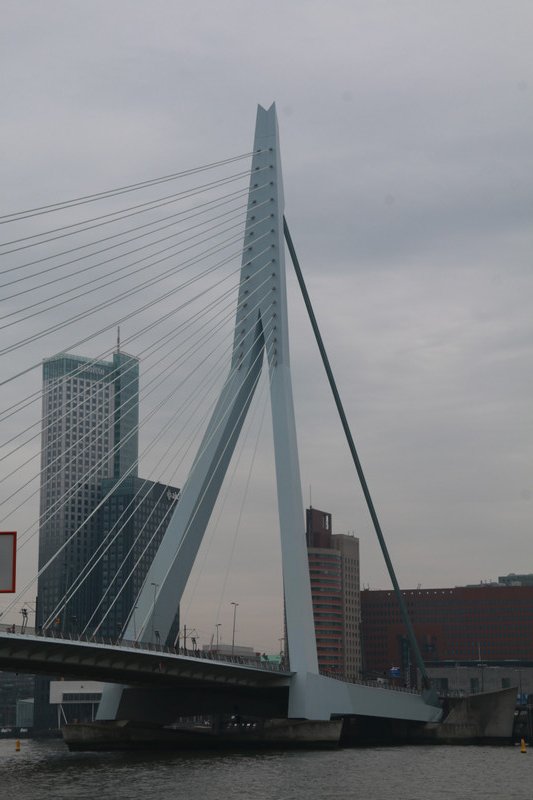 The Erasmus bridge (2) - Rotterdam