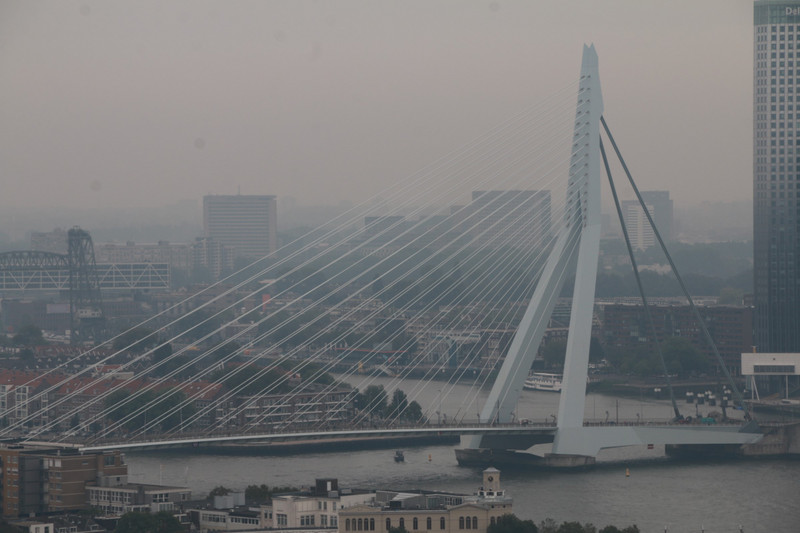 View from top of Euromast - the Erasmus bridge