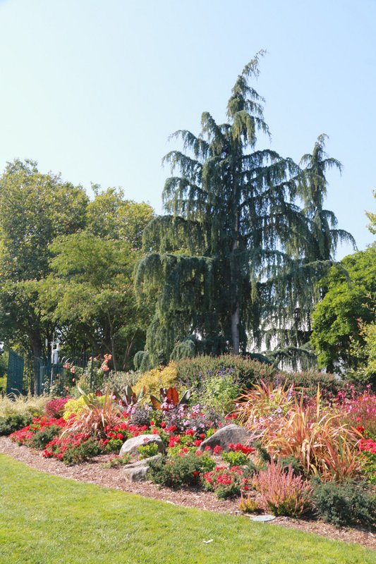 The gardens of the Seattle Center