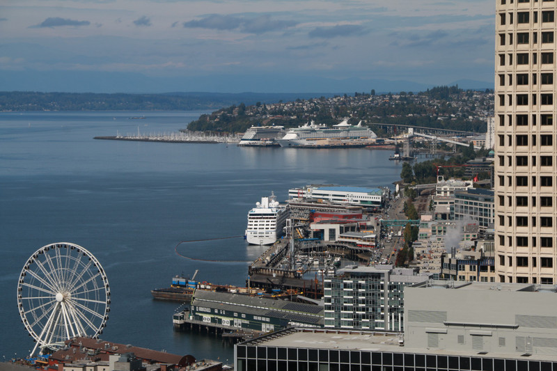 Pier 91 - the Seattle cruise terminal