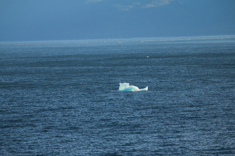 Iceberg ahoy