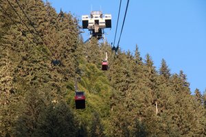 The tramway to the top of Mt Roberts