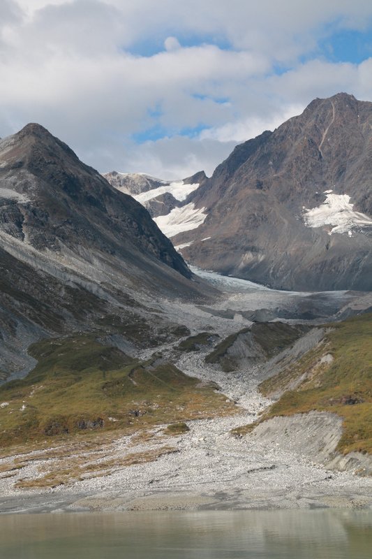 Glacier bay changing landscape