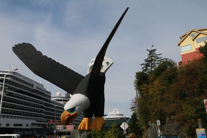 The bald eagle siwoops on the Ketchikan quayside