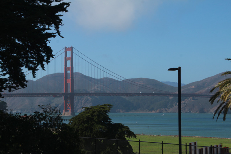 Golden Gate bridge from the Presidio