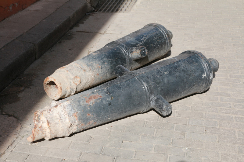 Discarded cannon bollards - like basking sealions