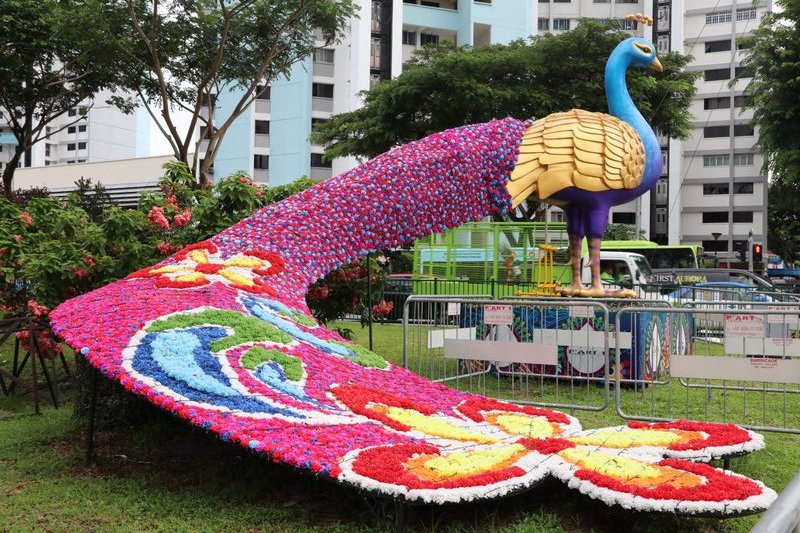 Floral peaock near the gate of Little India
