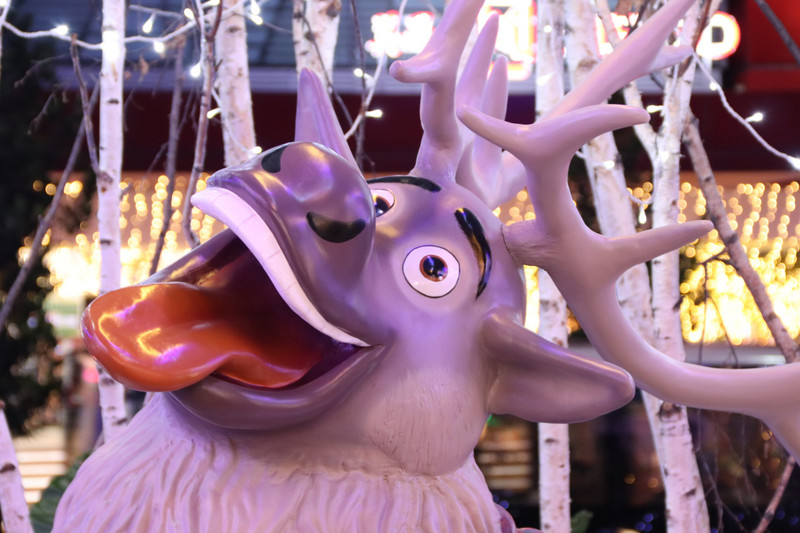 The craxy Moose from Frozen