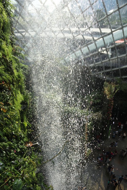 Behind the giant water cascade - The Cloud Forest