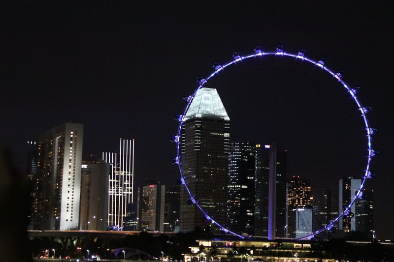 Te Singapore Eye by night