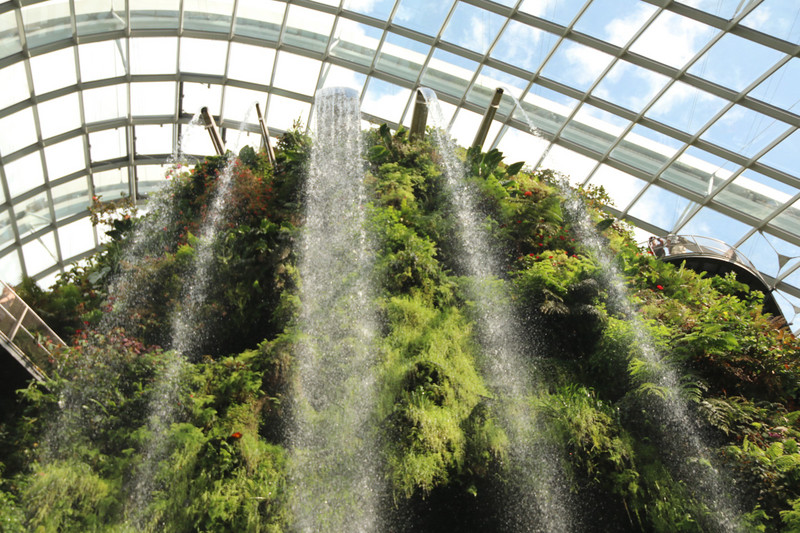 The giant water cascadeinside the Cloud Forest dome