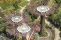 Looking down on the Supertrees - Gardens of the bay