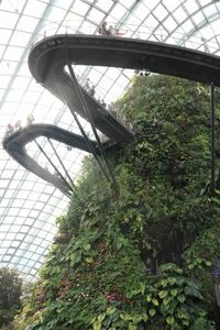 The walk way of the Cloud Forest six stories above