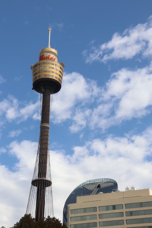 The sky tower - Sydney