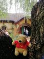 Pooh outside the Dragon Inn