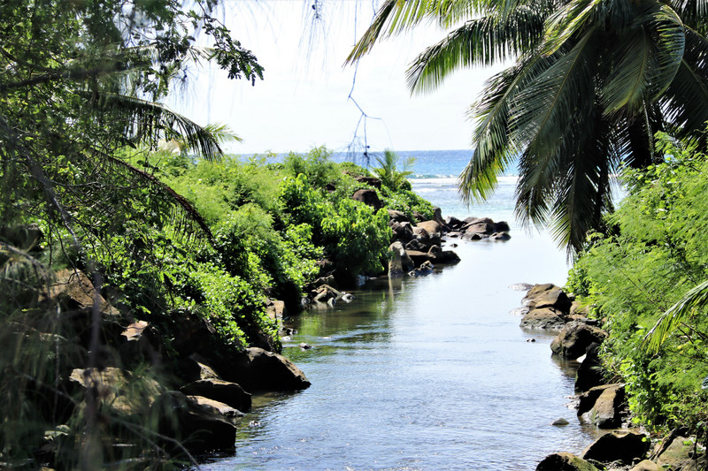 A narrow river in the tropical paridise known as the Cook Islands