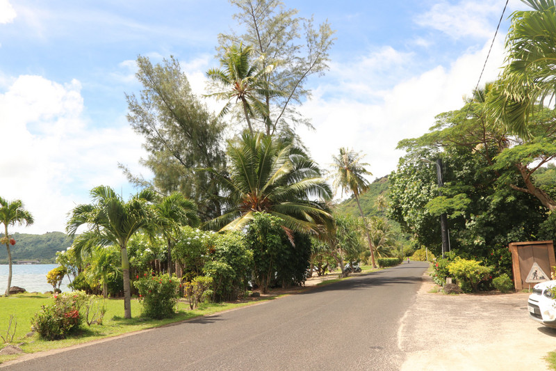 The palm laden coast road to Vaitape