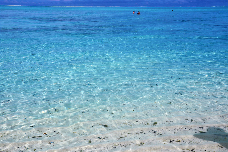The turquoise clarity of the Bora Bora lagoon