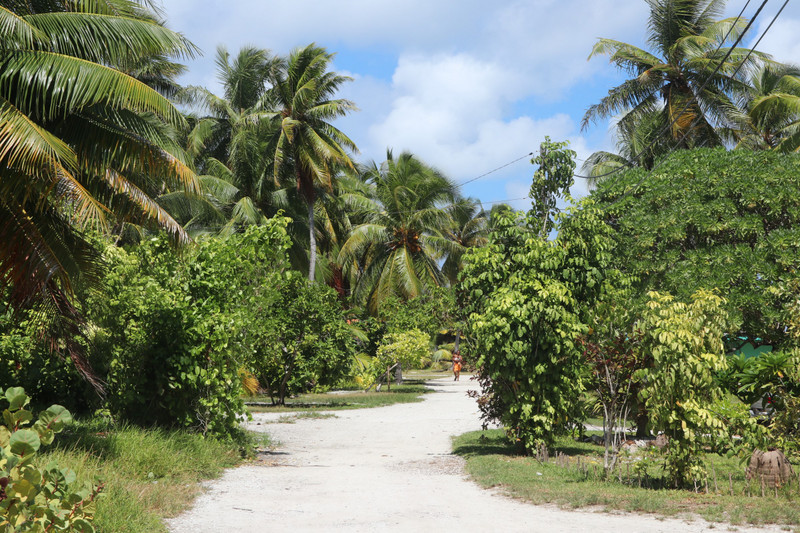 The compacted coral path of Rangiroa