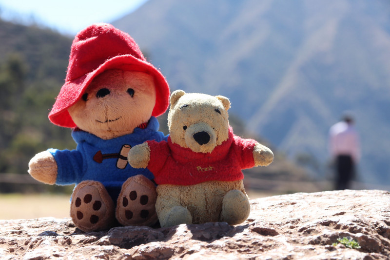 Paddington and Pooh relaxing in Chinchero