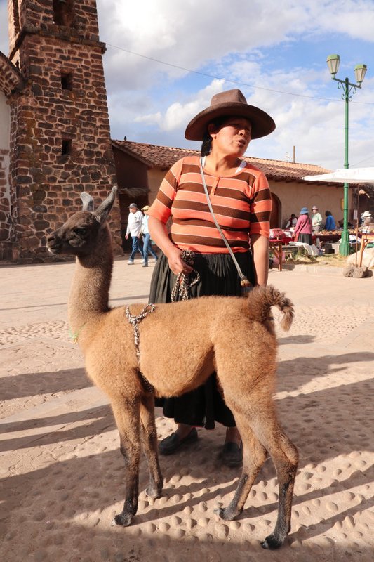 A local and her llama in Raqchi