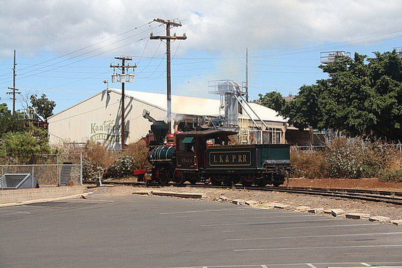 The sugar cane train