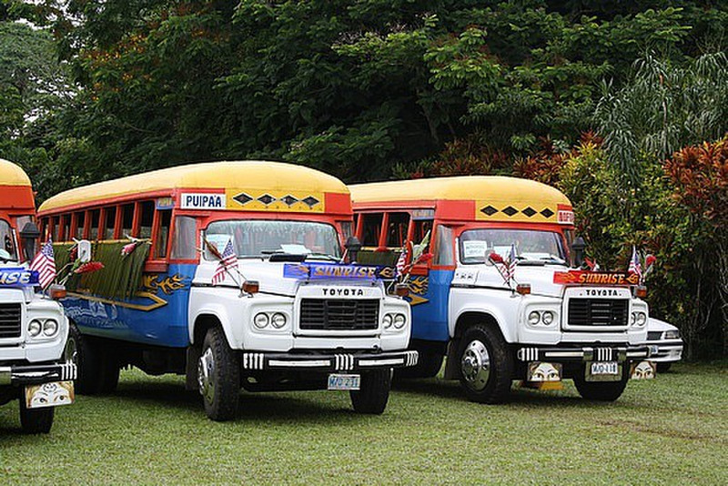 A bunch of colourful tour buses