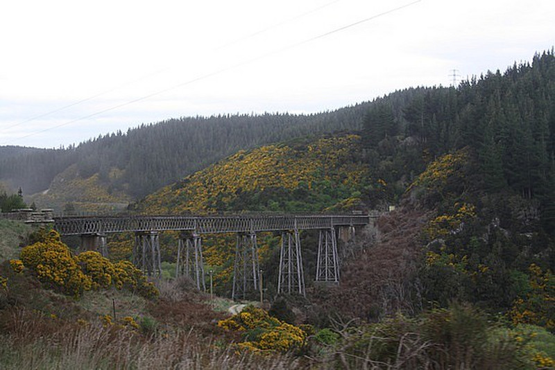 Wingatui viaduct