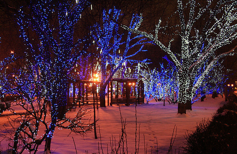 Typical electric blue tree decorations, Moscow