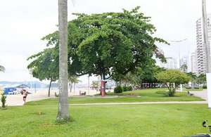 Over 5km of garden beach in Santos